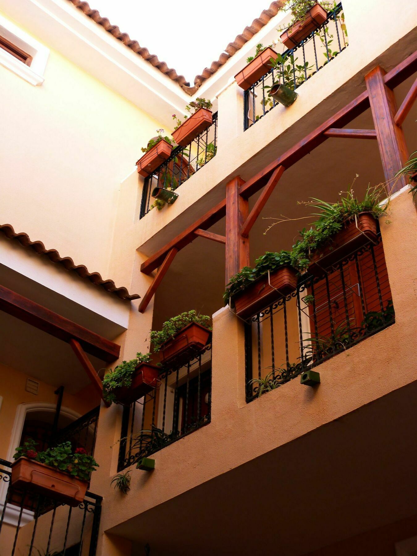 Shoal Apartamentos Orihuela Exteriér fotografie